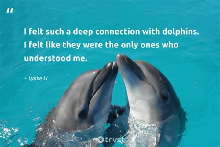 33 Quotes About Dolphins and Love