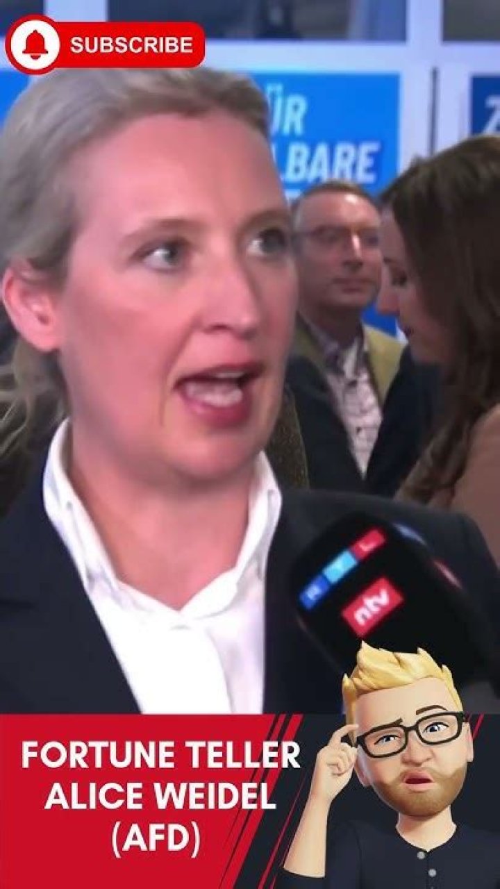 Alice Weidel Fortune