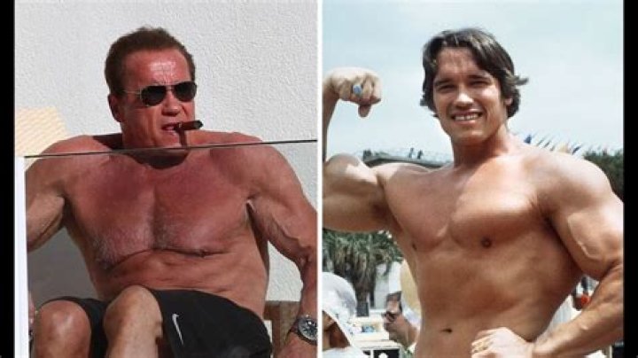 Arnold Schwarzenegger Taille Poids