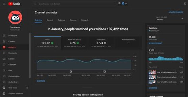 FastToon Youtuber overview