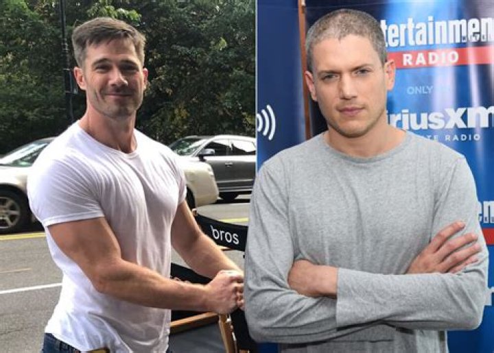 Is Wentworth Miller Gay, Is He Dating His Partner Luke Macfarlane?