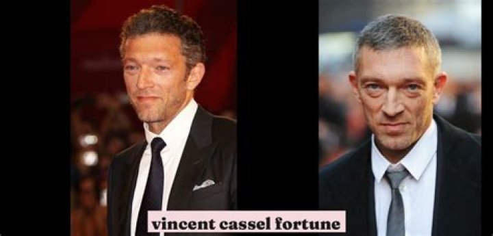 Vincent Cassel Fortune