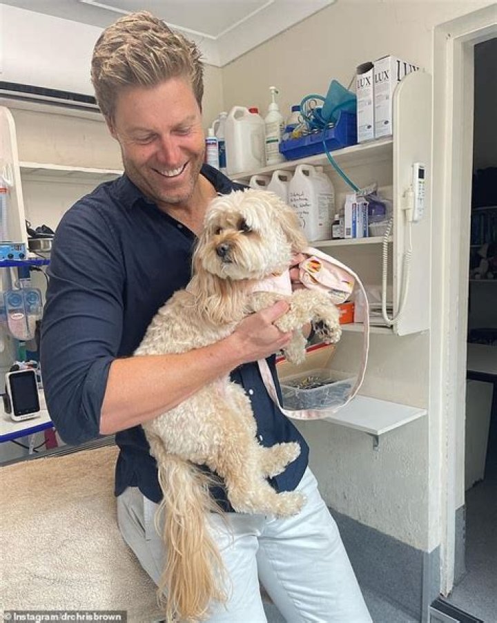 Where Is Australian Veterinarian Katrina Warren Now? Why Did She Divorce Her Husband?